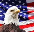 Image of a bald eagle in front of an American flag