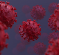 Image of COVID-19 virus 