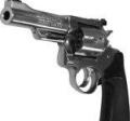 Concealed Handgun License Fees