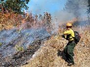 Firefighter hosing down brush