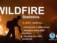 Wildfire Statistics