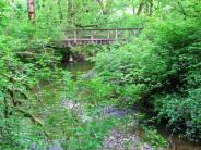 Footbridge at Ritner Creek Park