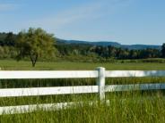 Rural Pedee, Oregon