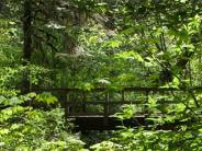 Bridge at Ritner Park -- Photographer:   Linda Morrell