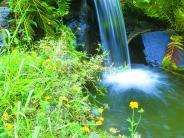 Dallas City Park Arboretum -- Photographer:  Polk County Itemizer-Observer