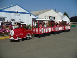 Fun at the Polk County Fair