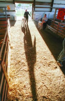 Fun at the Polk County Fair