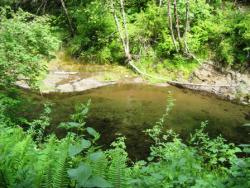 BLM (Upper Mill Creek) Park