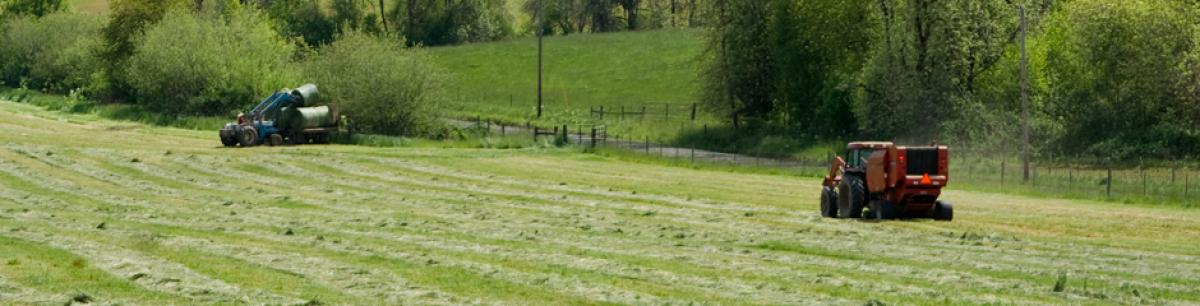 Farming in Polk County, Photographer: Linda Morrell