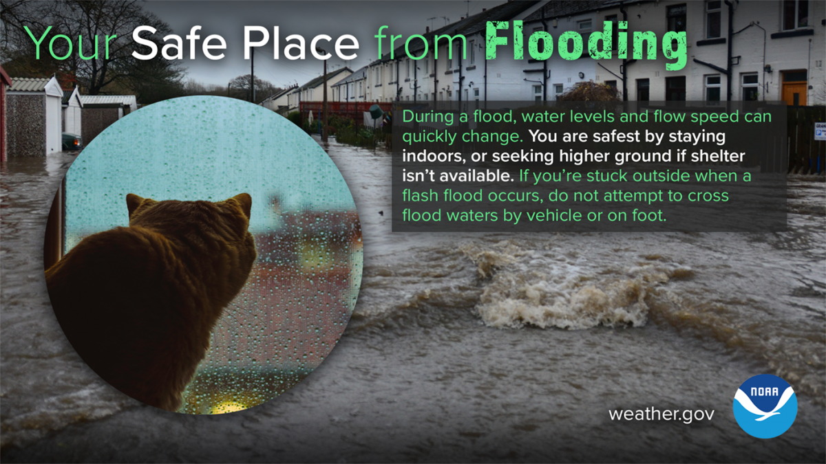 During a flood, water levels and flow speed can quickly change. You are safest by staying indoors, or seeking higher ground if s